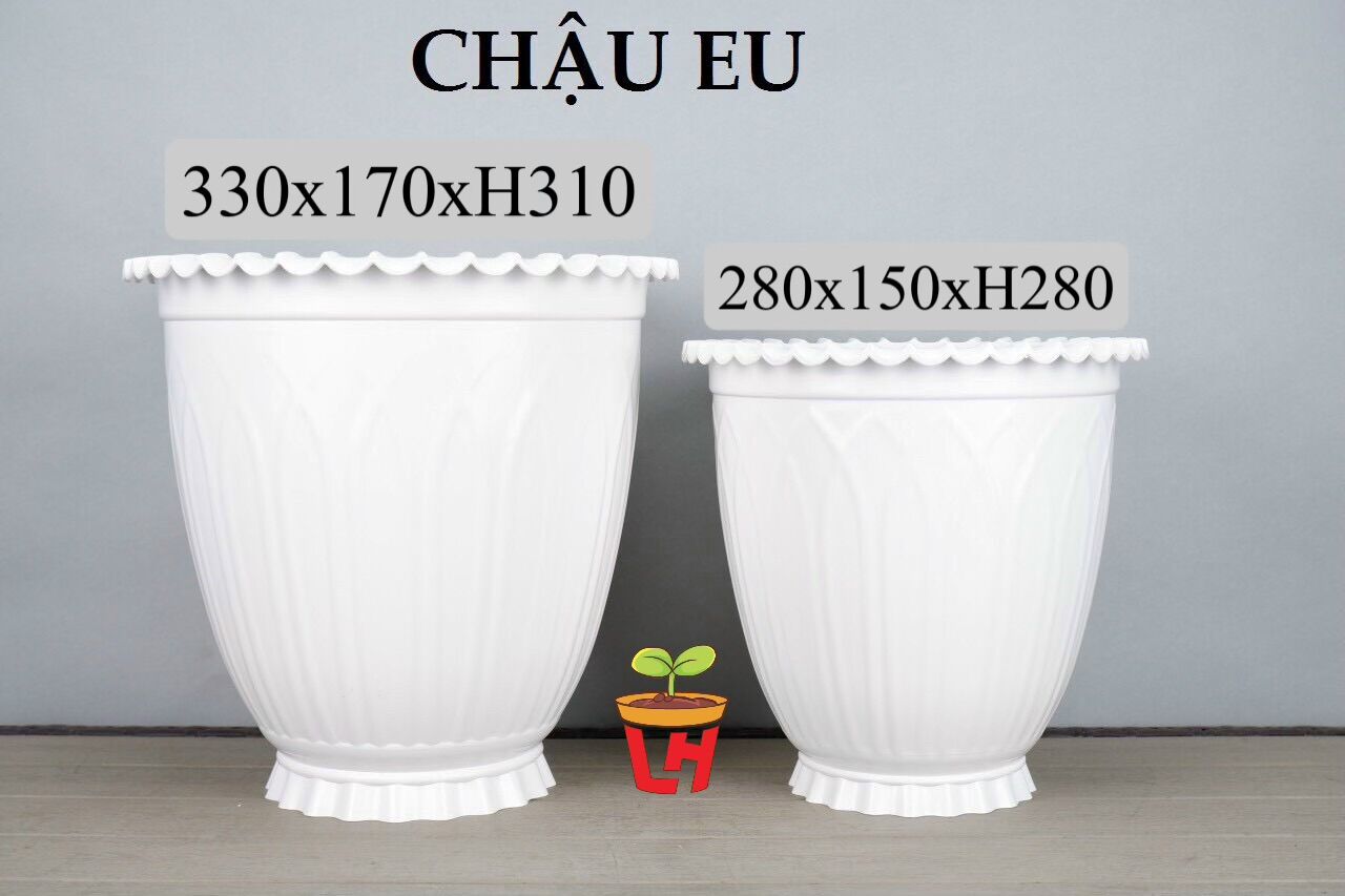Chậu nhựa trồng cây , nhựa trắng dày cao cấp