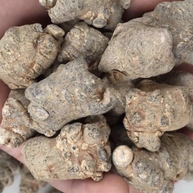 Tam thất củ to loại 1( bột-củ) 100g