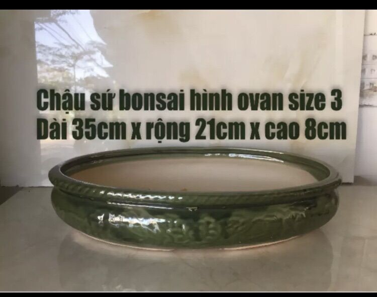 Chậu sứ bonsai hình ovan size 3
