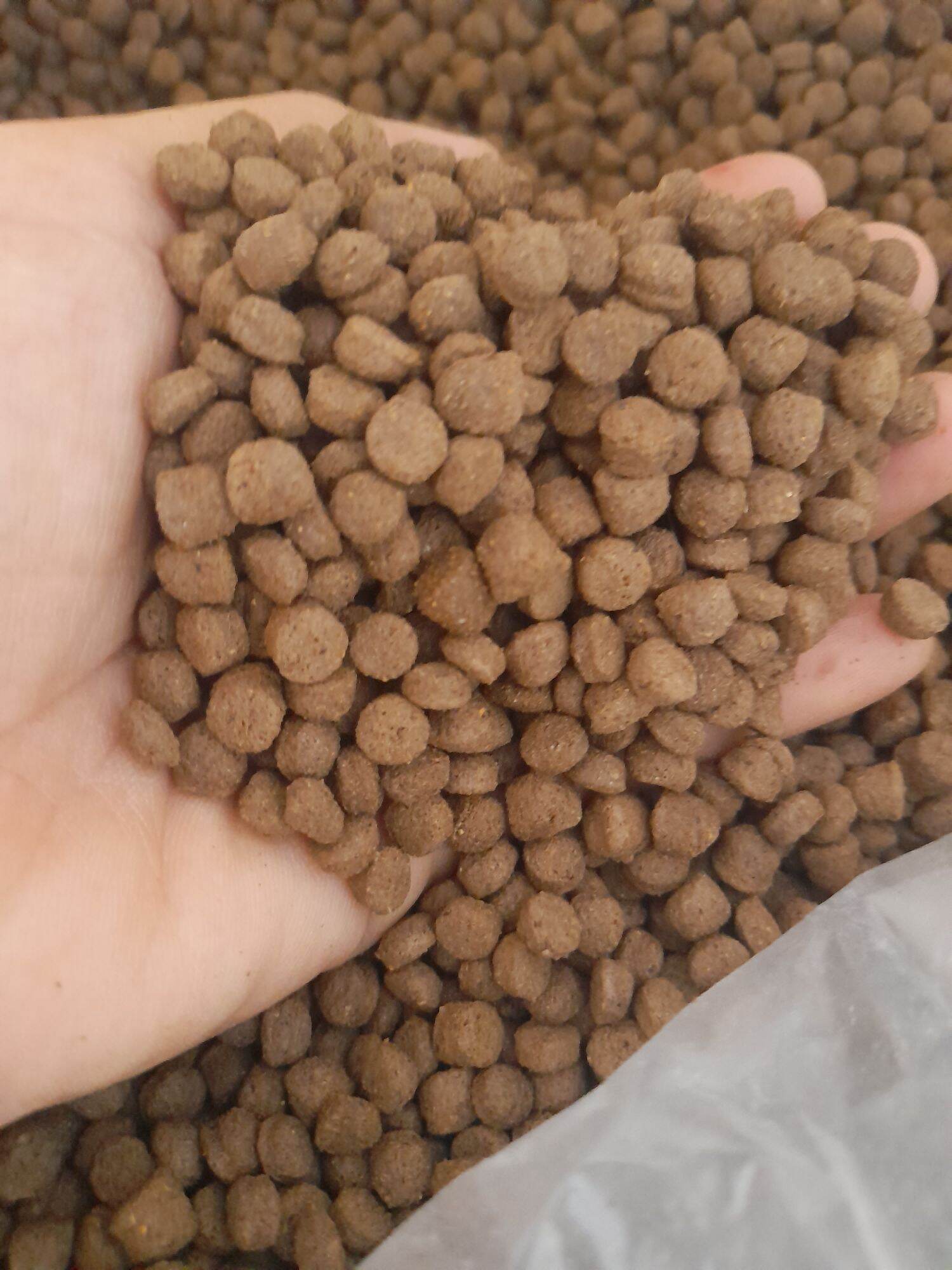 1 kg thức ăn cá hỗn hợp viên nổi