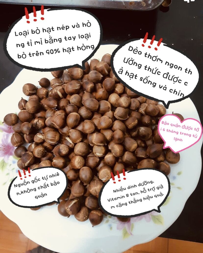 Hạt dẻ rừng 1Kg (2023) hạt vừa và nhỏ