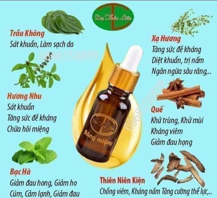 Tinh dầu răng miệng Dạ Thảo Liên