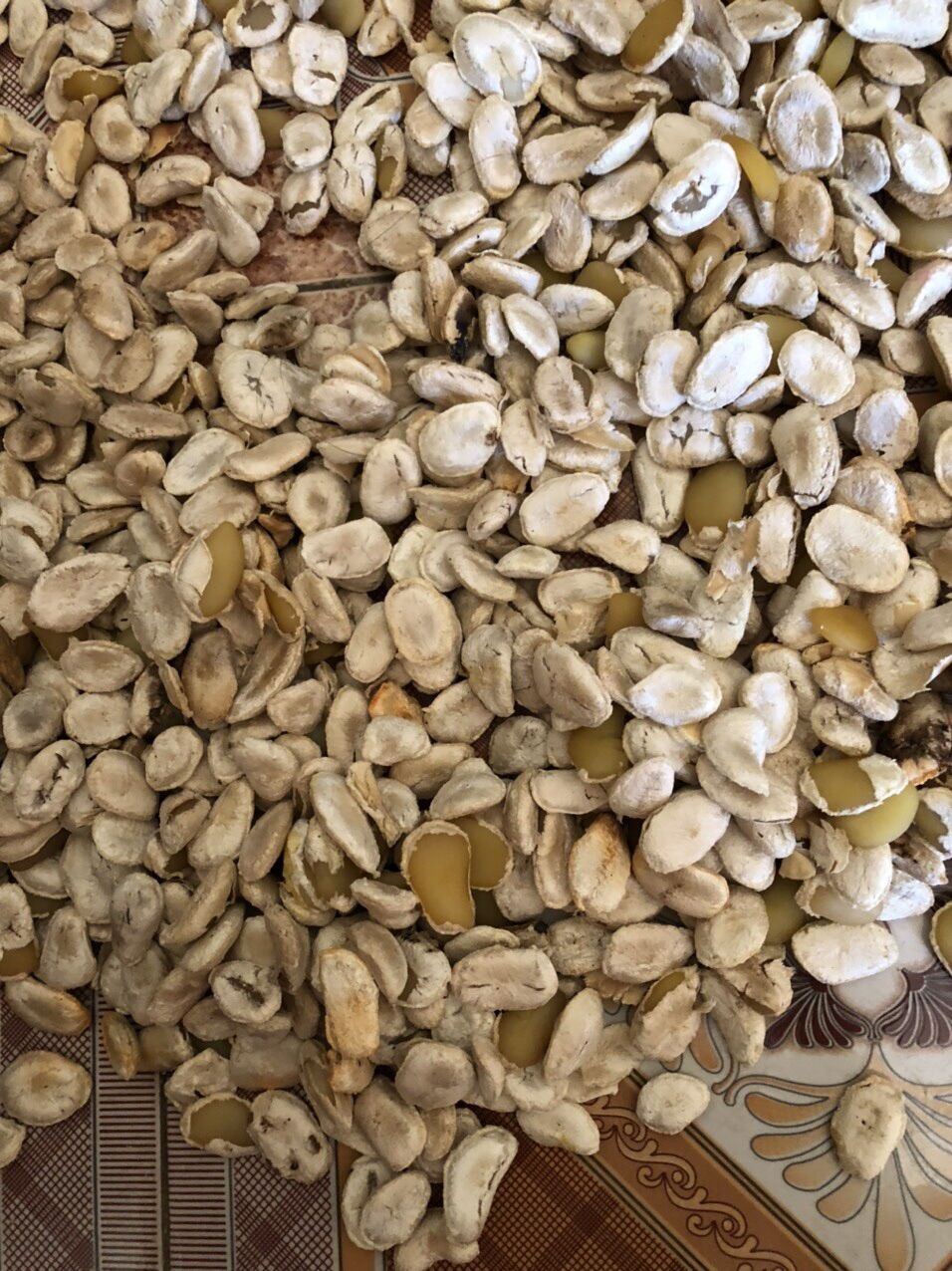 [HOT] Hạt Sang trắng ( 40 hạt) dạ dày