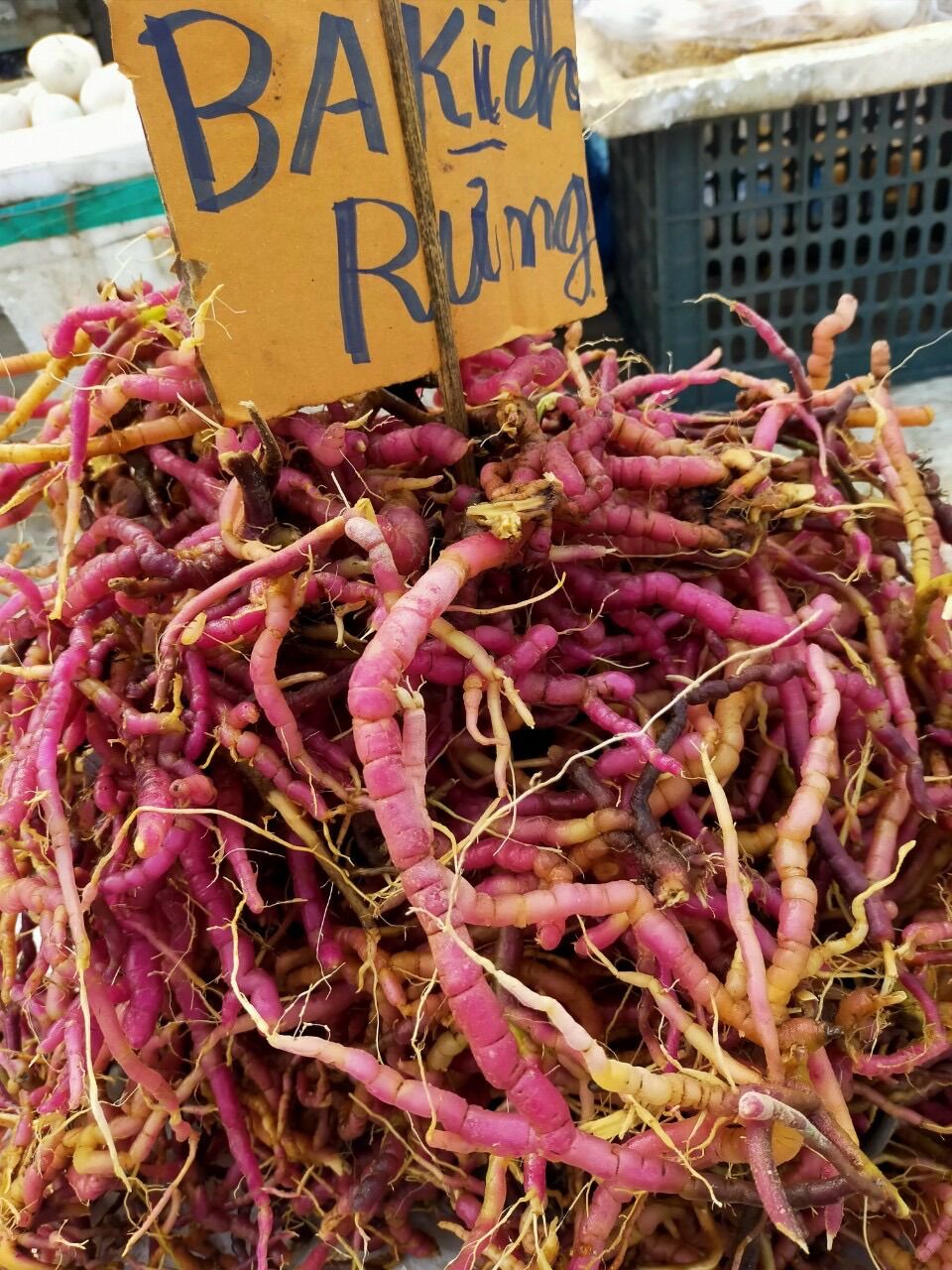 Ba Kích Tím Tươi 1Kg