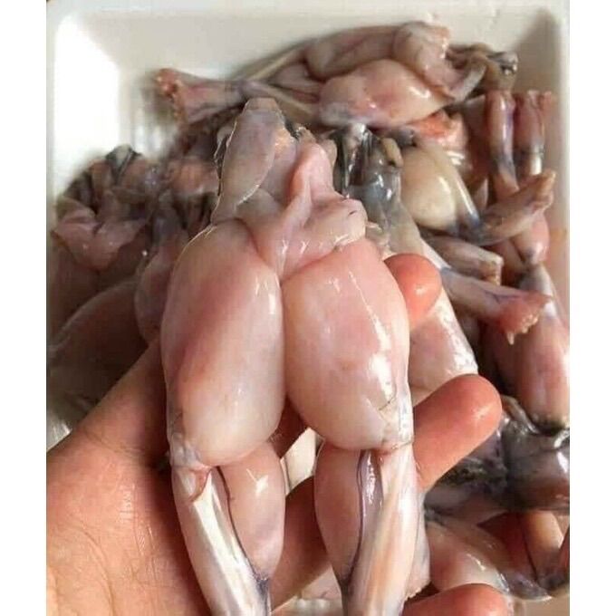 Đùi ếch bịch 500g (giao hỏa tốc tphcm)