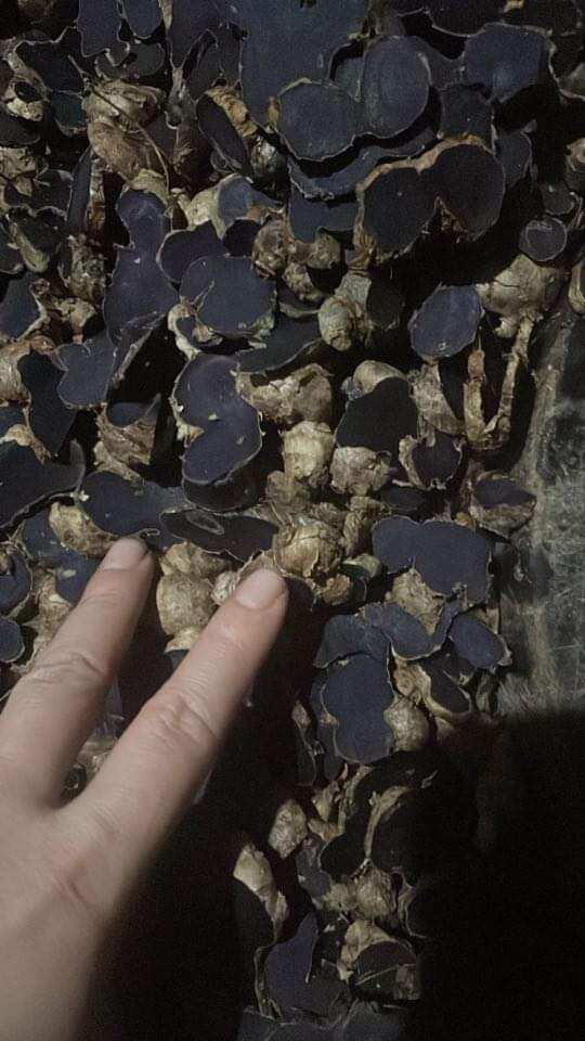 gừng đen khô 1kg