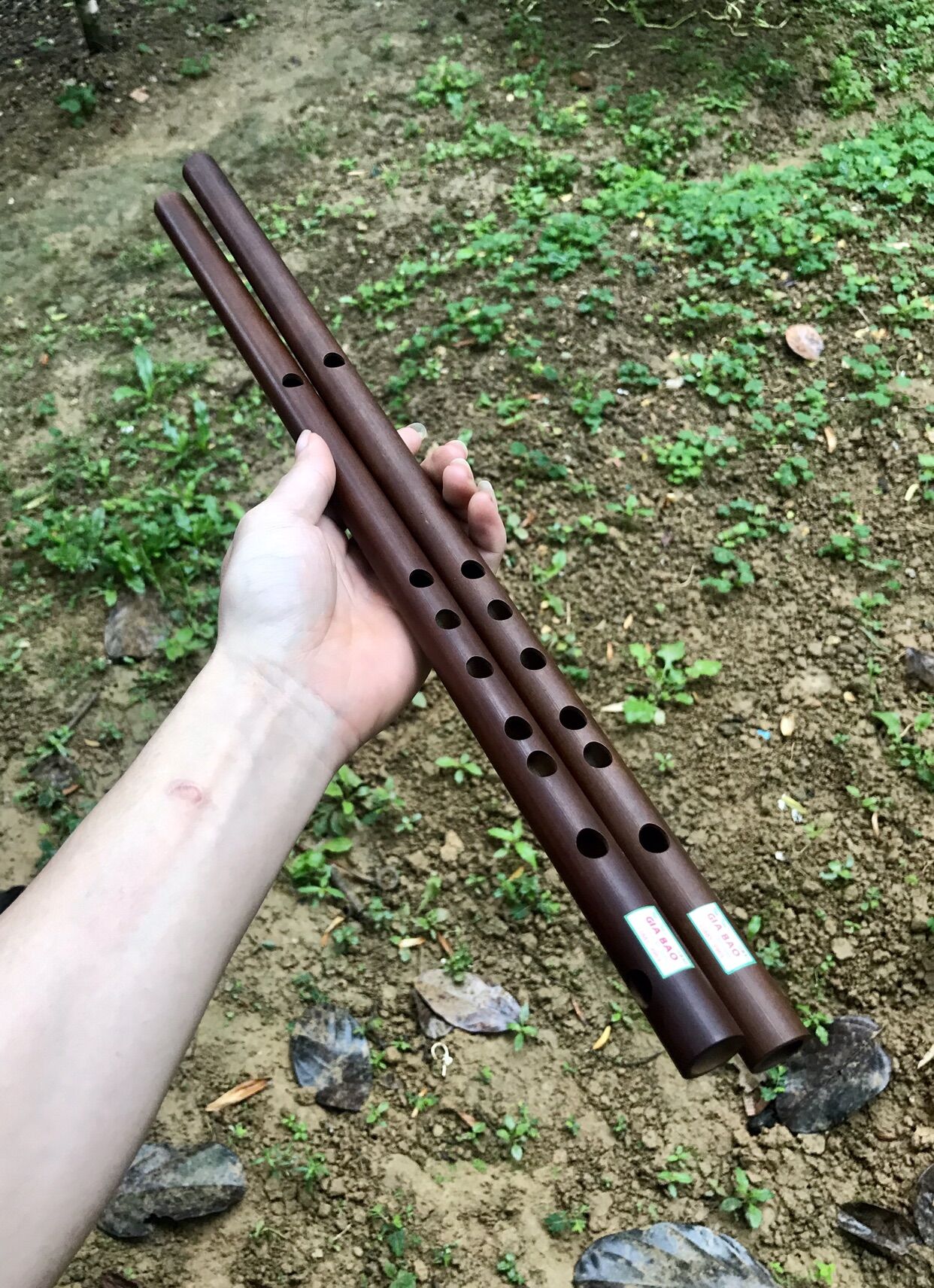 Sáo đô c5 nứa hun | sáo hun cafe