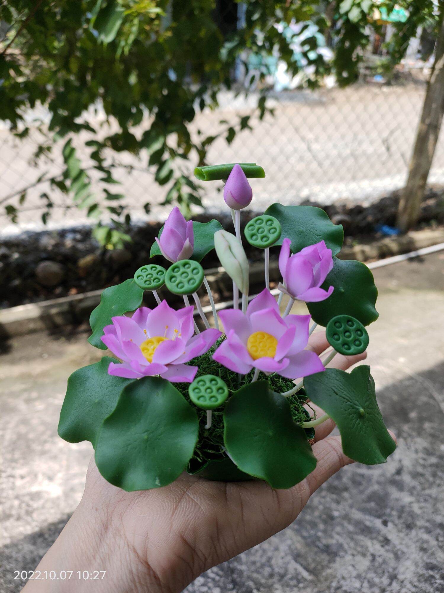 Chậu hoa sen đất sét mini