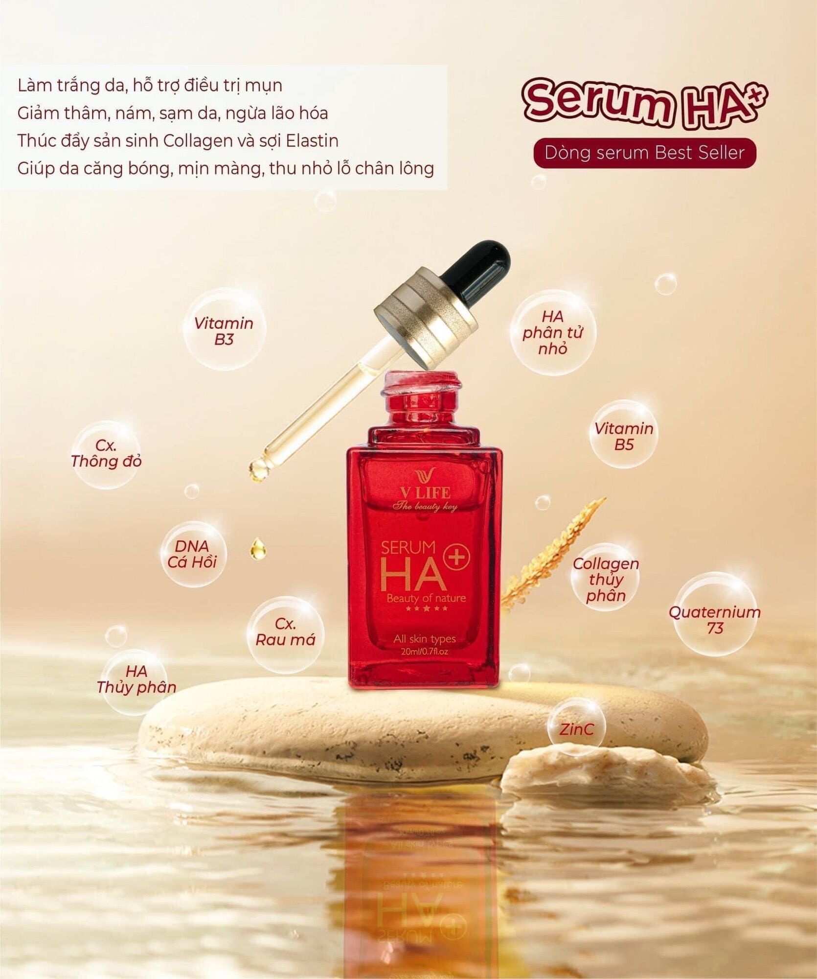 Serum Ha + Vlife Nâng Cấp