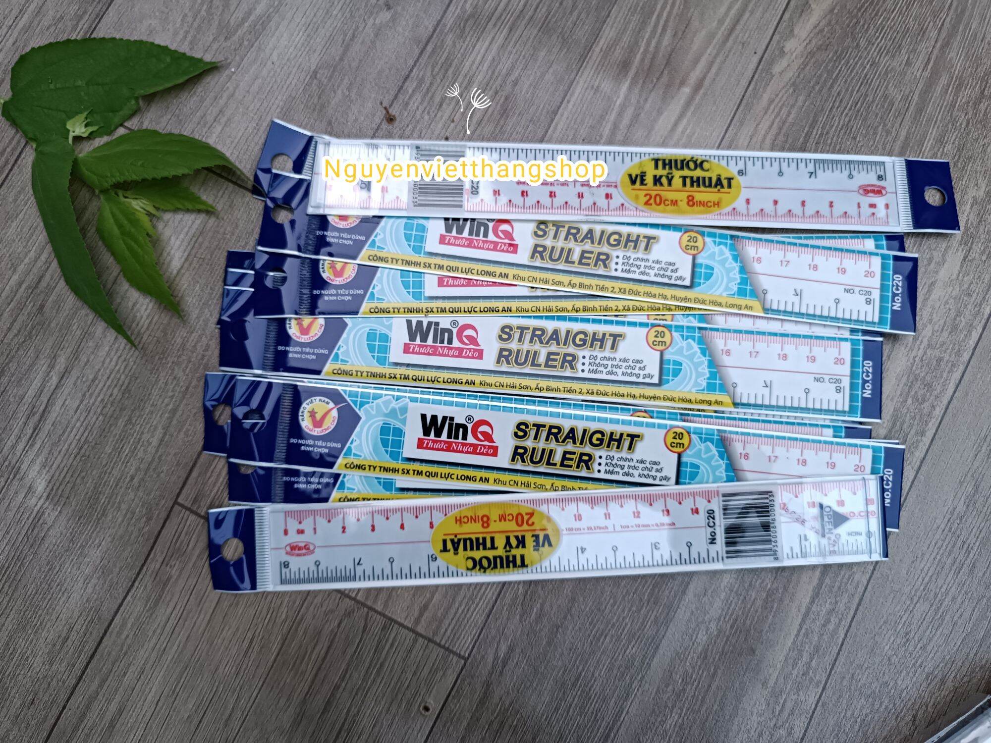 Thước đo/kẻ thẳng 20cm WinQ