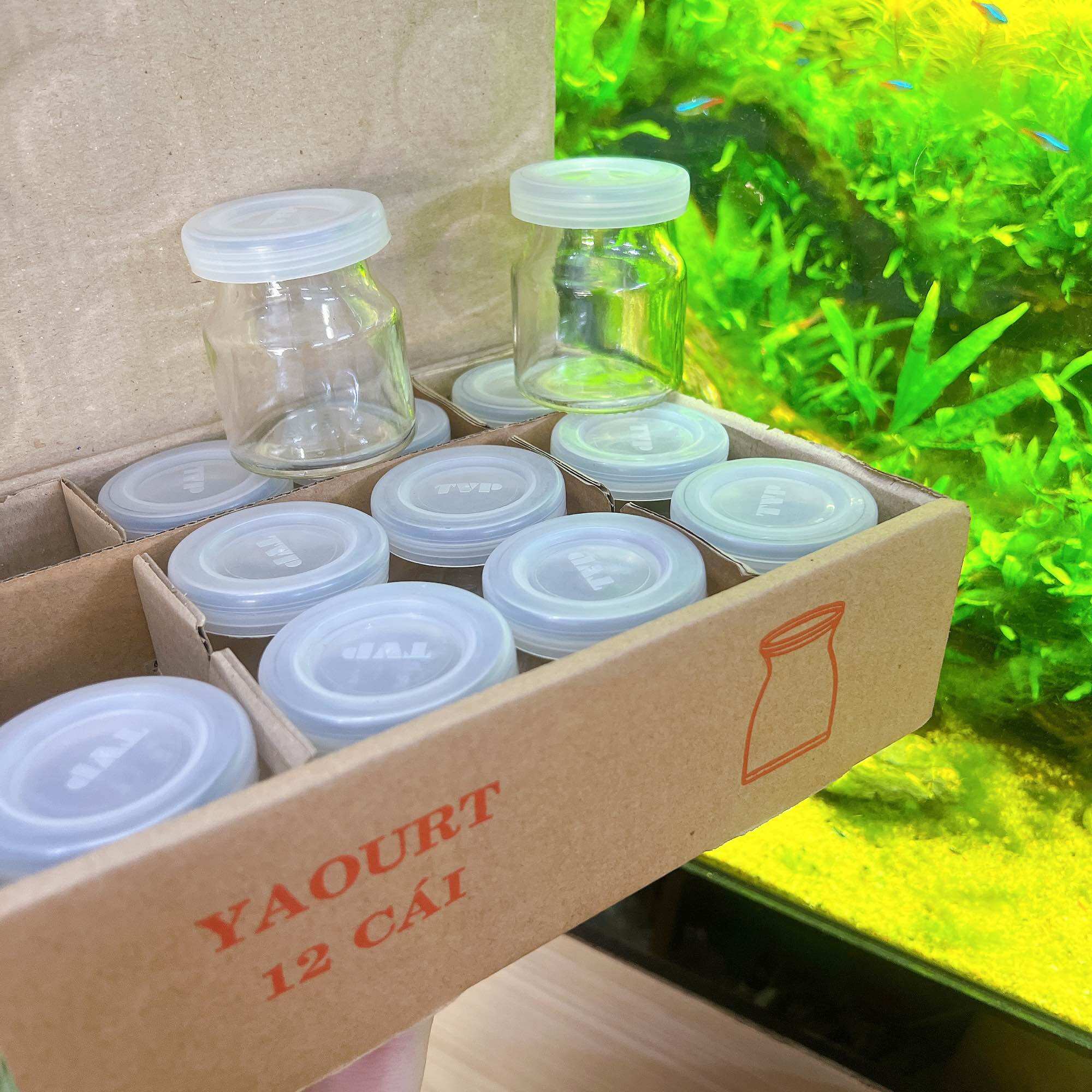 Hũ sữa chua thủy tinh - bộ 12 hủ thủy tinh cao cấp làm yaourt 100ml kiểu dáng truyền thống