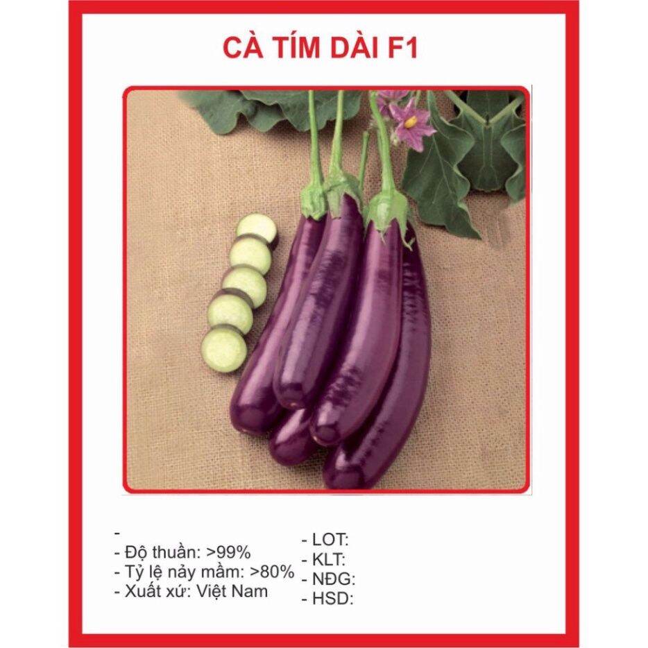 Hạt Giống Cà Tím Dài F1