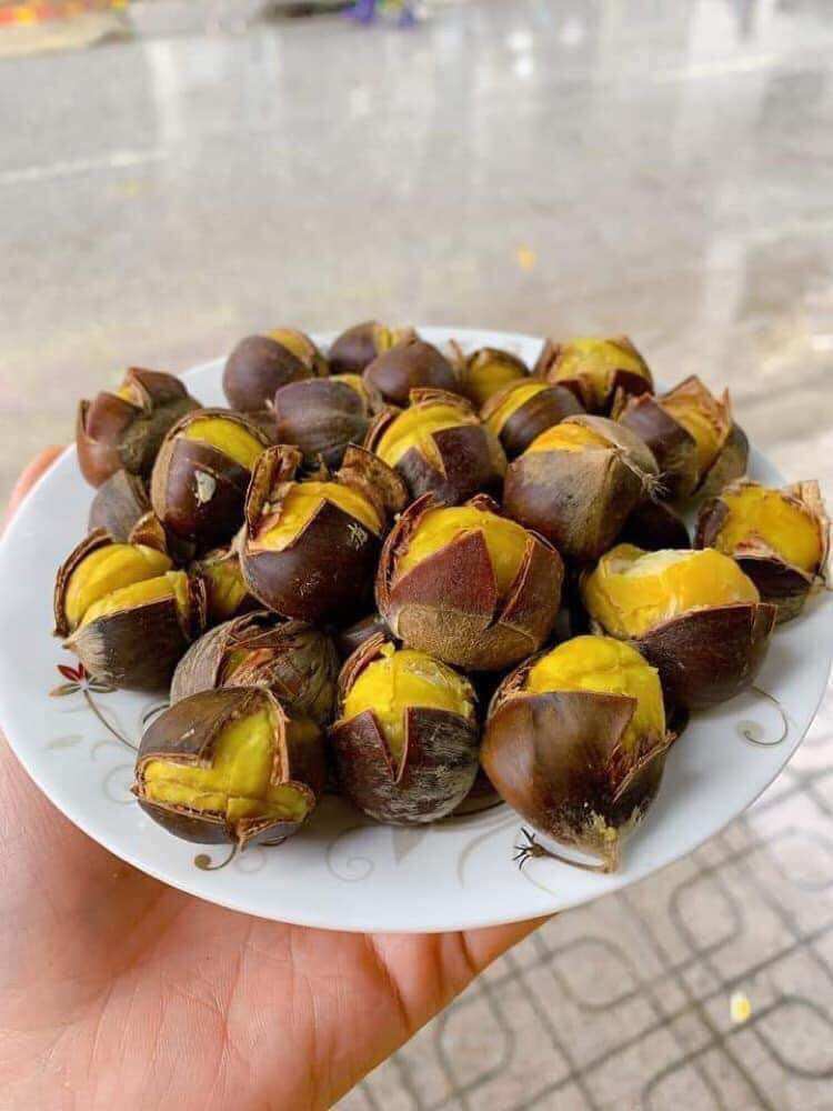 1kg Hạt Dẻ tươi Cao Bằng (cơm vàng, bùi, ngọt, béo)