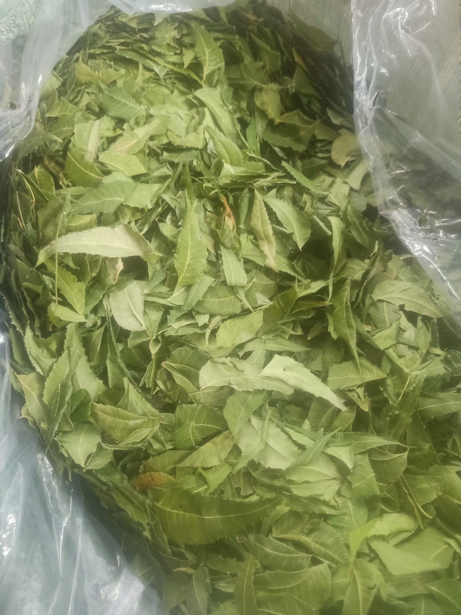 Lá neem : 1kg