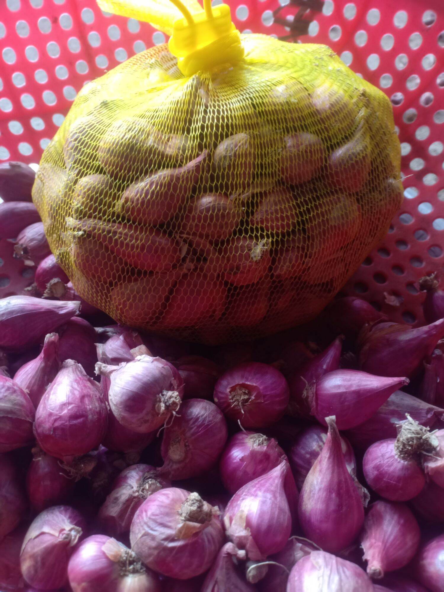 hành tím phan rang loại to, túi 1kg.