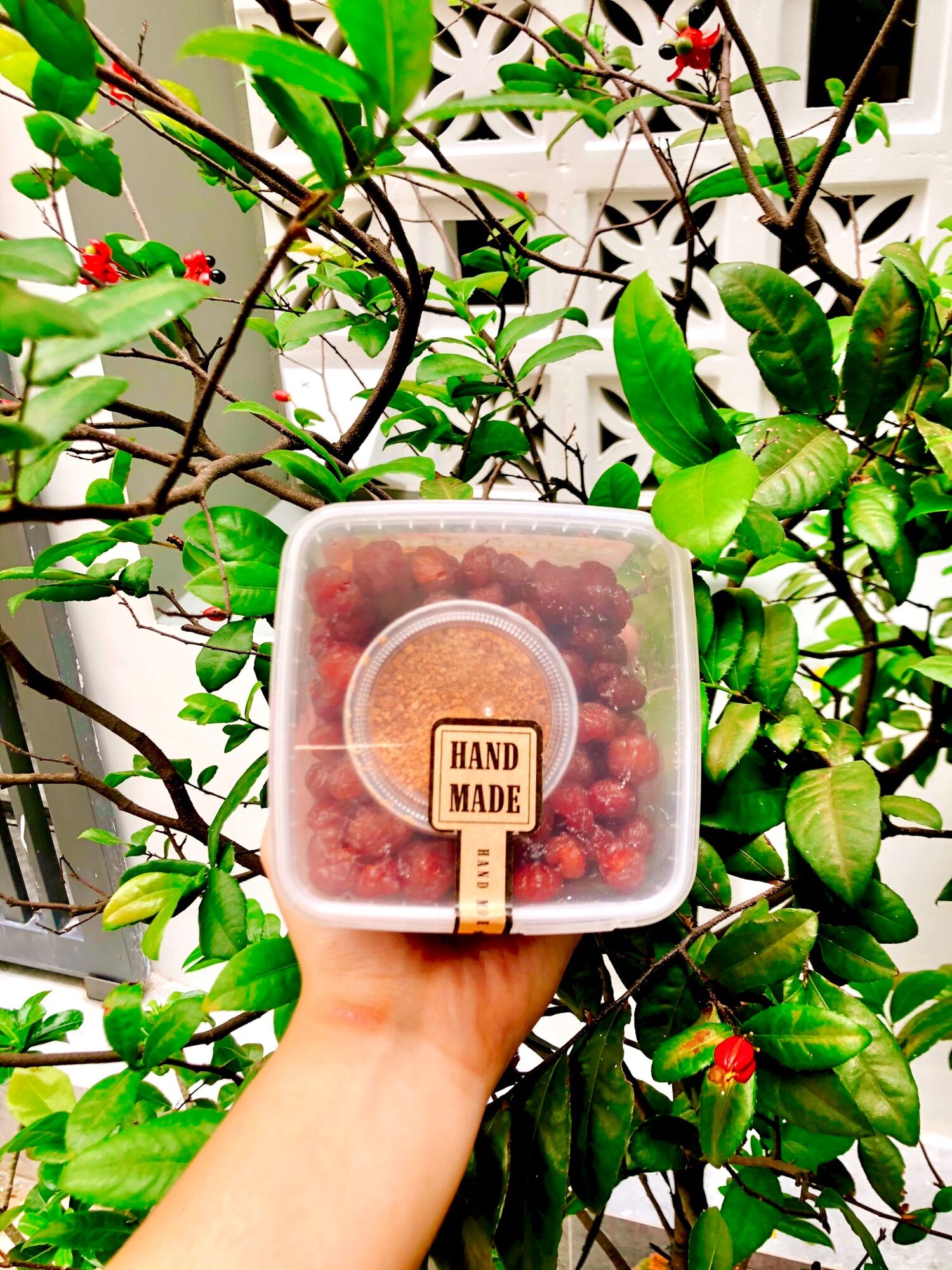 Chùm Ruột Rim Xốc Muối Ớt 500g