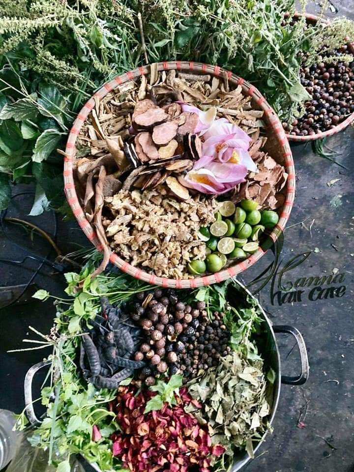 [ Hàng Chính Hãng] Dầu gội thảo dược dân gian Thanh Mộc Hương(Mẫu Mới Nhất)
