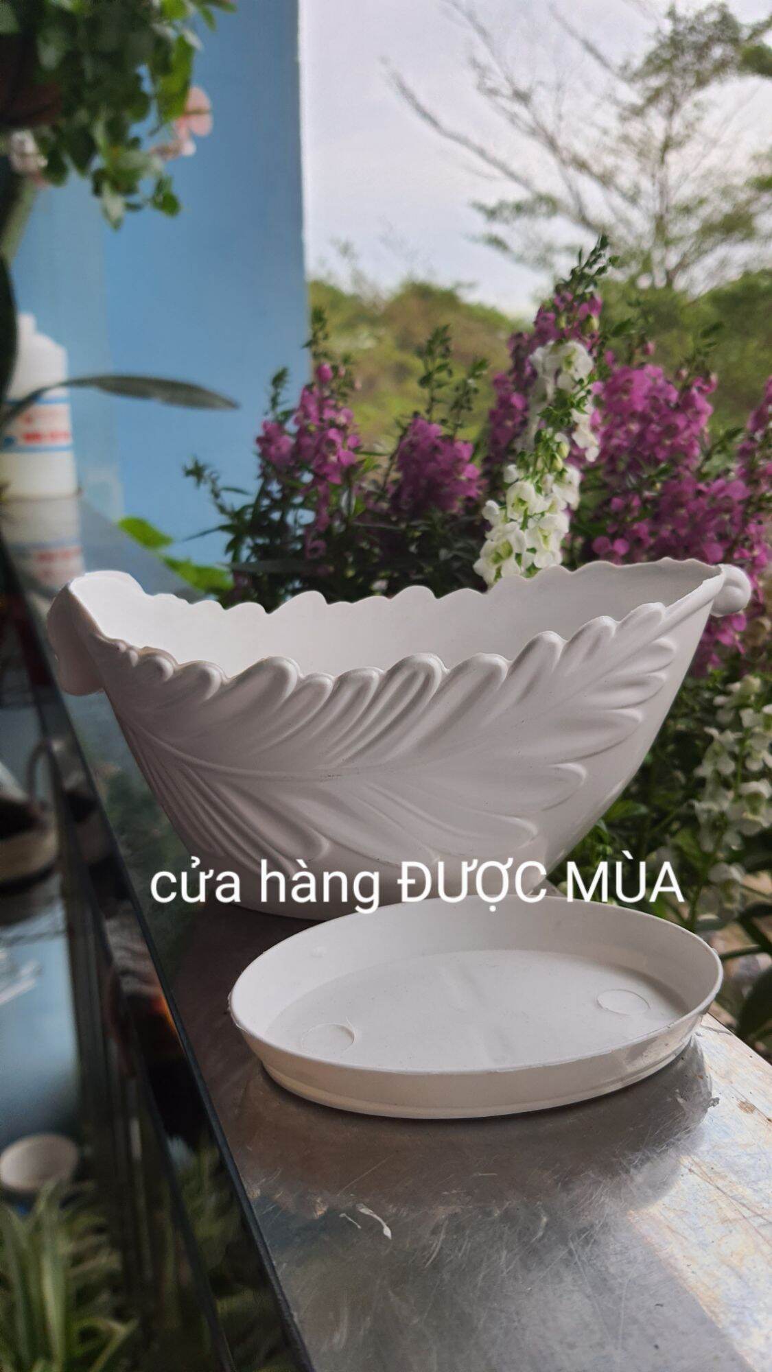 Chậu nhựa trồng cây bonsai để bàn hình chiếc lá tặng kèm dĩa lót siêu đẹp và độc đáo D15xR8xC7cm