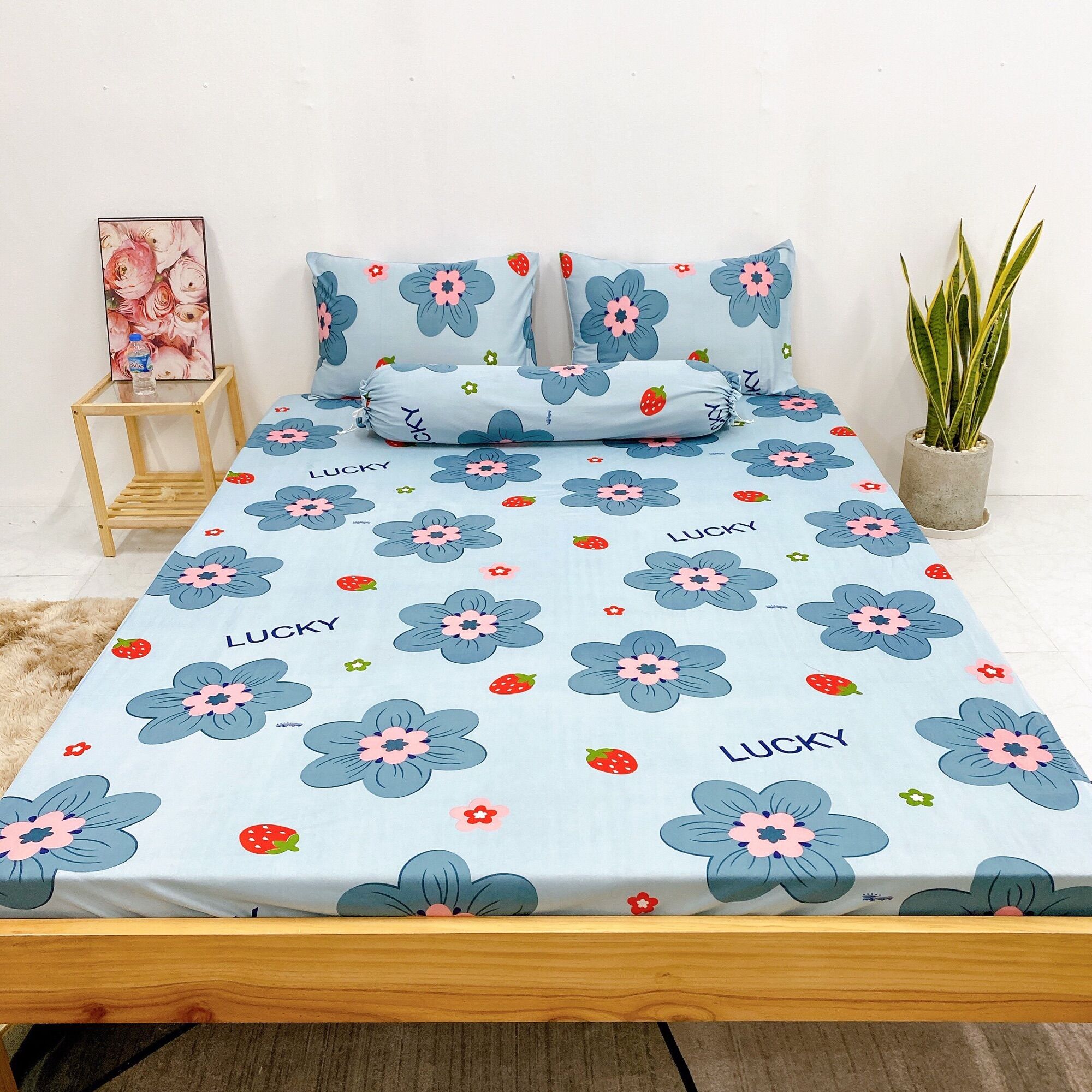 Set 4 món DRAP ÁO GỐI THUN LẠNH HÀN QUỐC