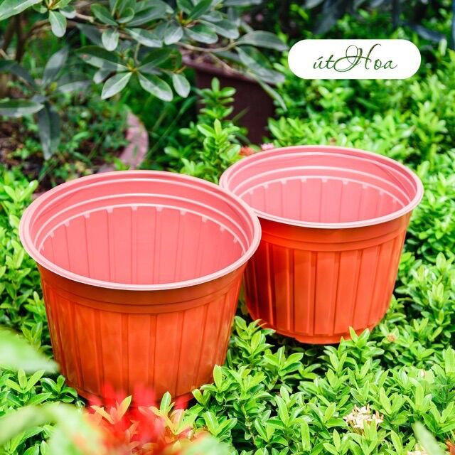 Chậu nhựa nâu N15 (15x12.5cm)vành miệng cứng
