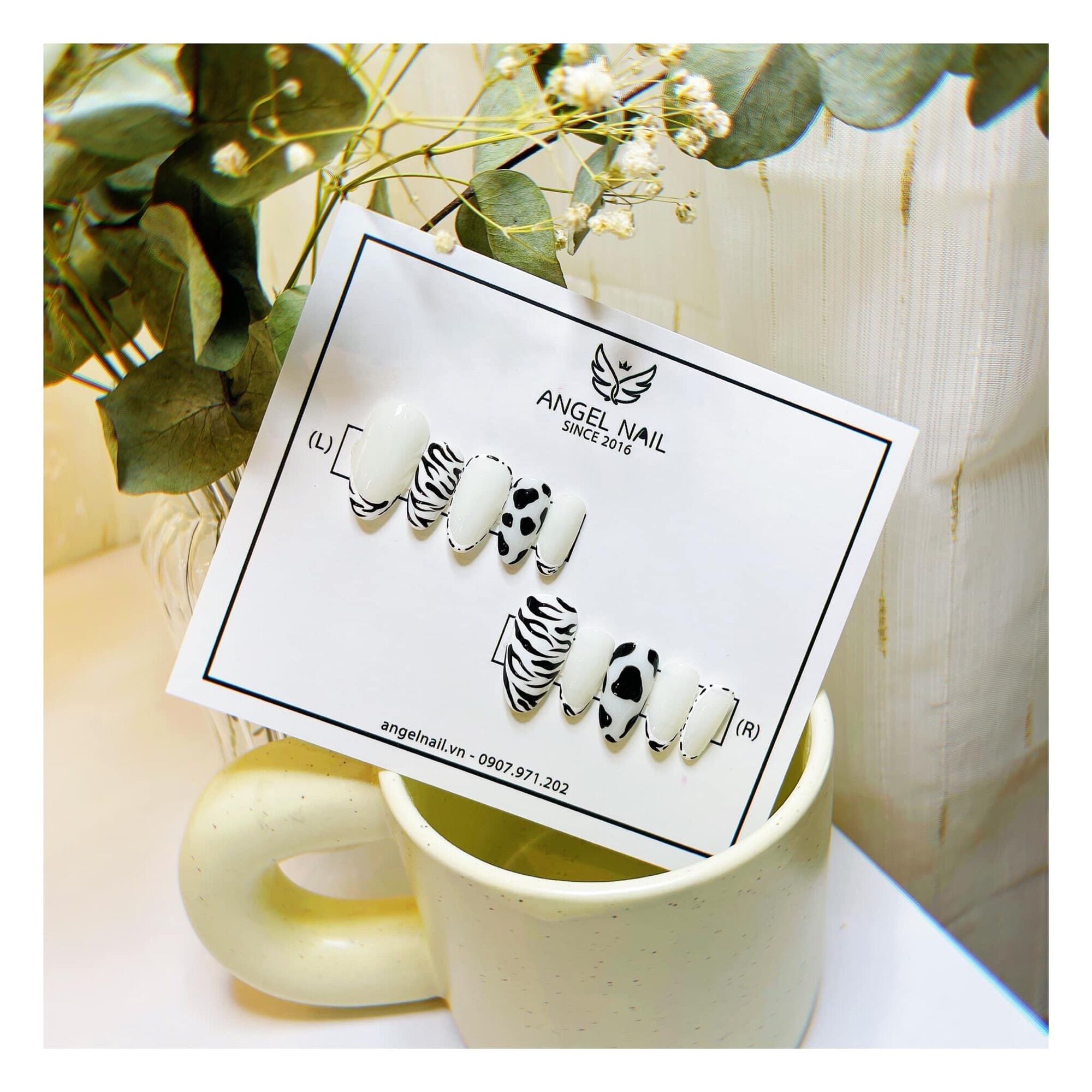 Nail box thiết kế trắng đen