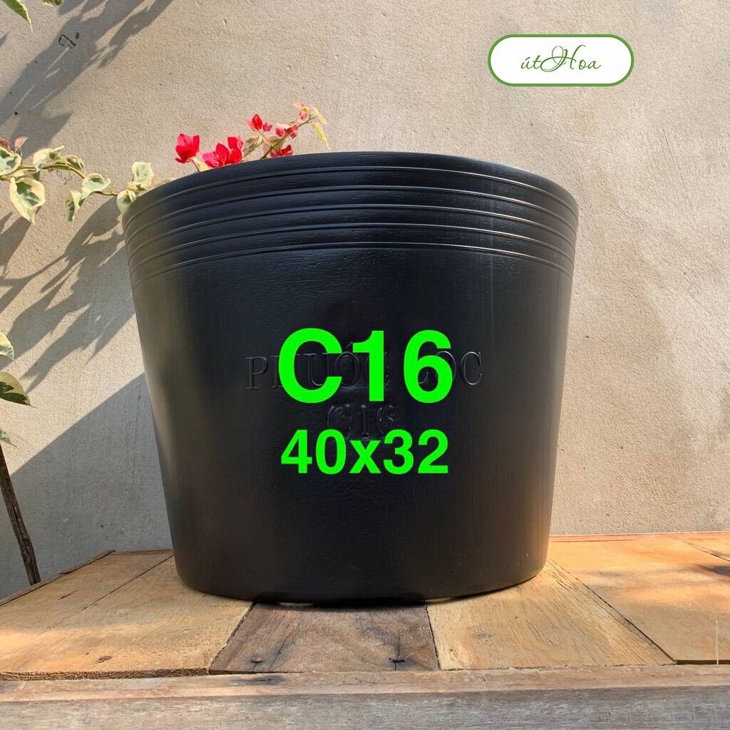 Chậu nhựa đen C16(40x32cm) size lớn nhất