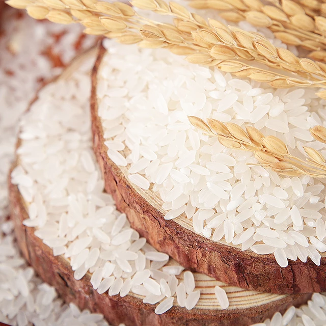 Hạt giống lúa Tám thái đỏ Bảo Minh túi 1kg