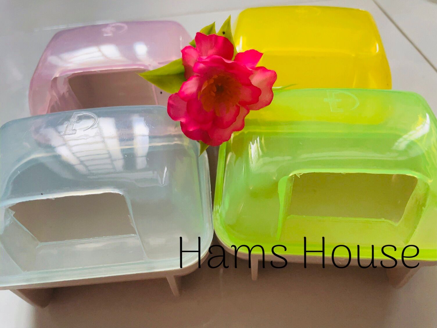 Nhà tắm lớn cho hamster