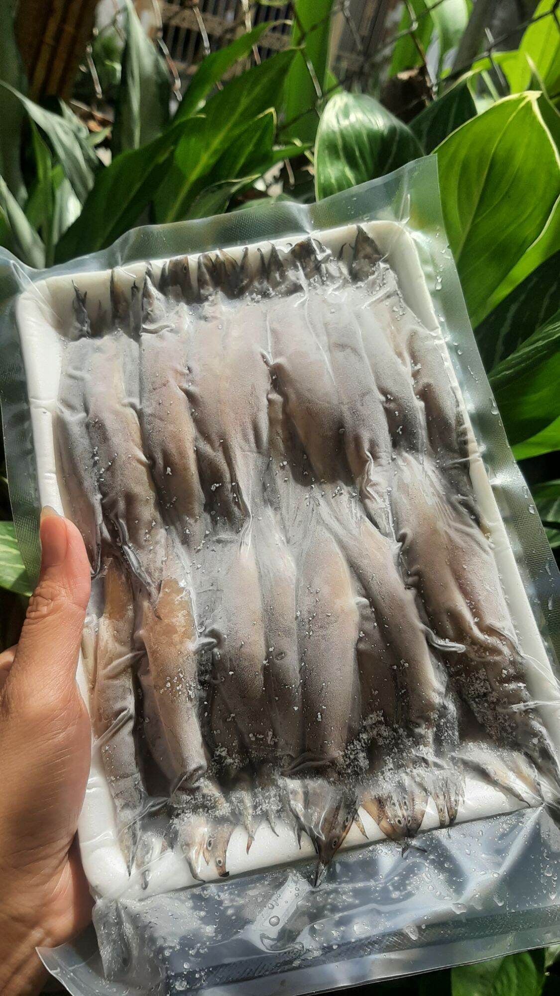 khô cá chạch đồng túi hút chân không 500g
