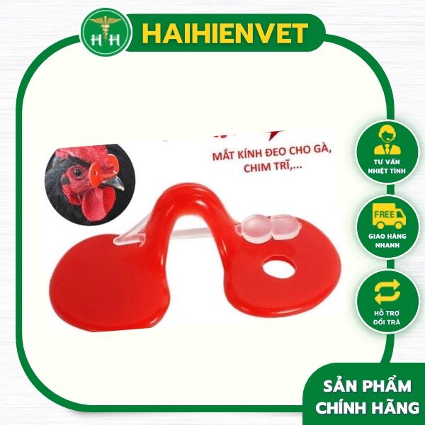 50 chiếc  kính gà , chim trĩ - hạn chế cắn mổ lông nhau