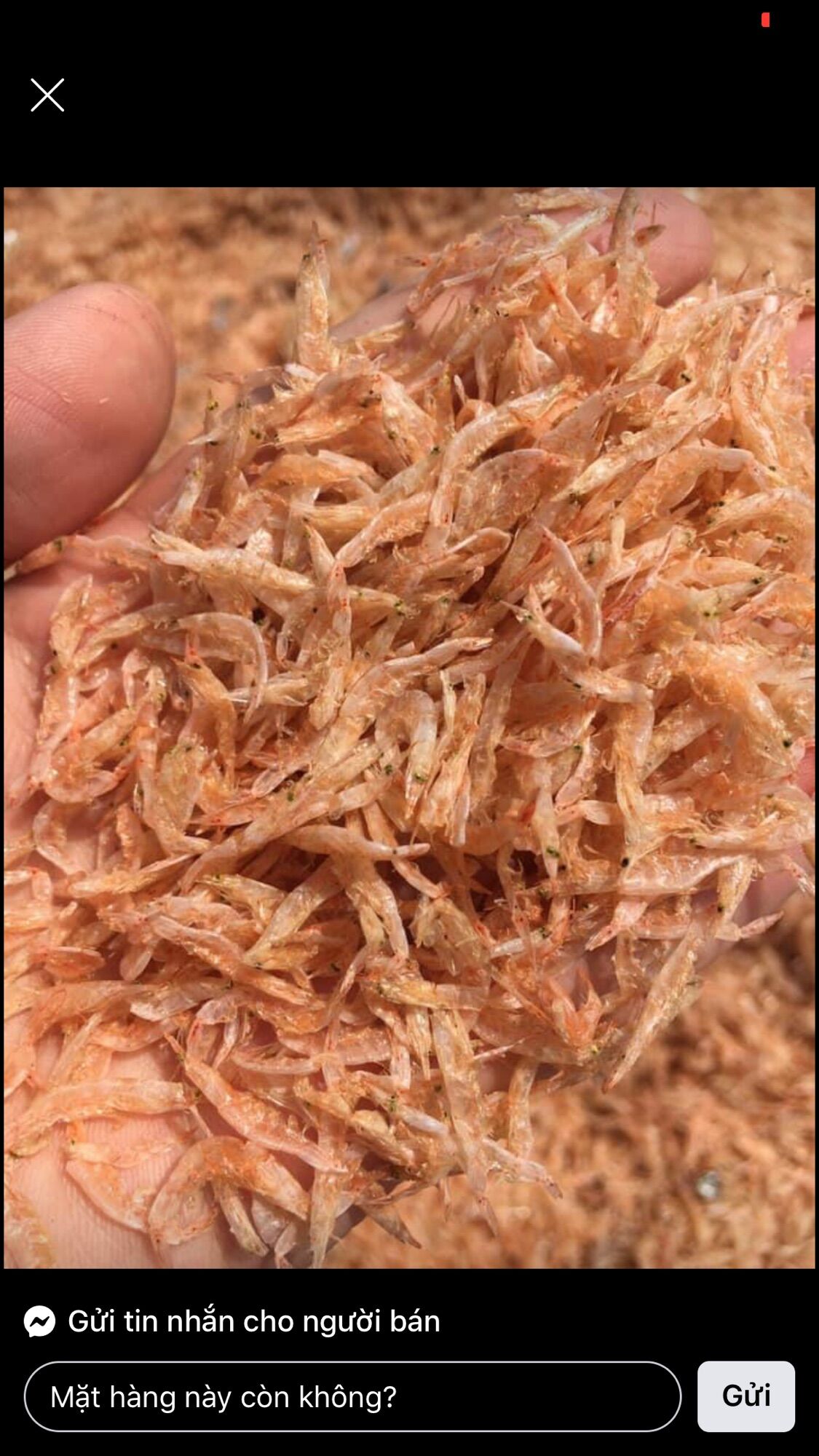 300gr tép biển khô