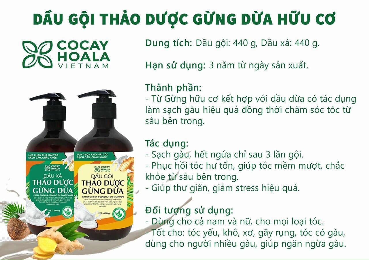 Dầu gội gừng dừa tươi