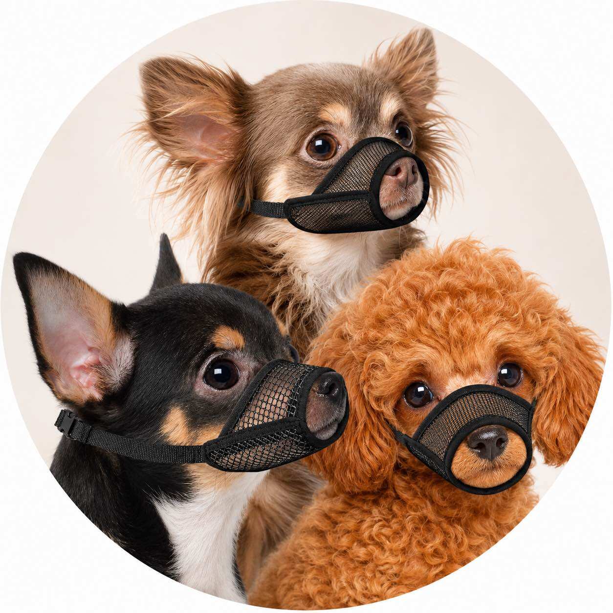 Rọ mõm lưới mềm thoáng khí cho chó nhỏ Chihuahua, Toy Poodle Saly Q PM09