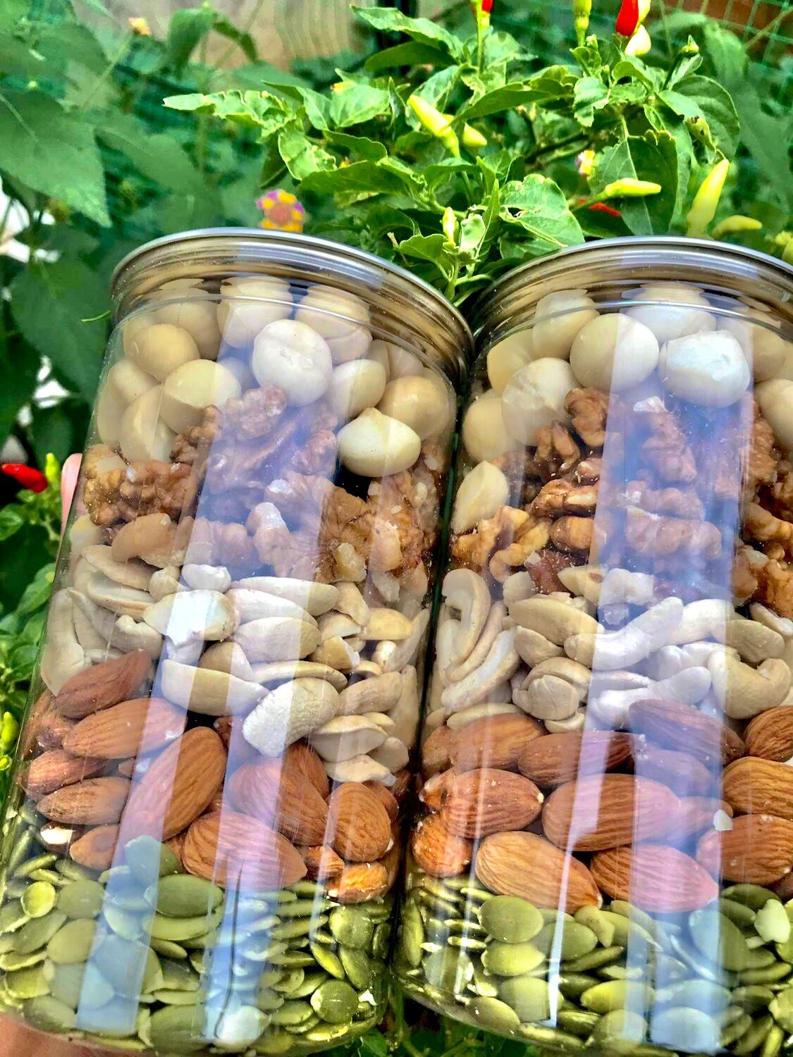 Hạt mix dinh dưỡng( macca, óc chó, hạt điều,hạnh nhân, hạt bí)