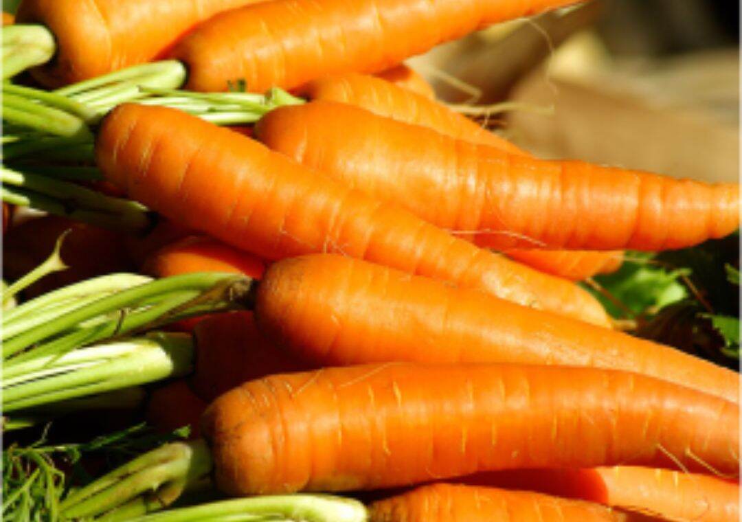 1kg- củ cà rốt tươi