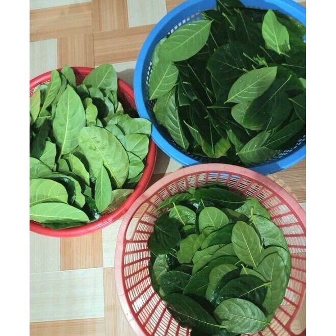 100gram lá mít tươi miền tây