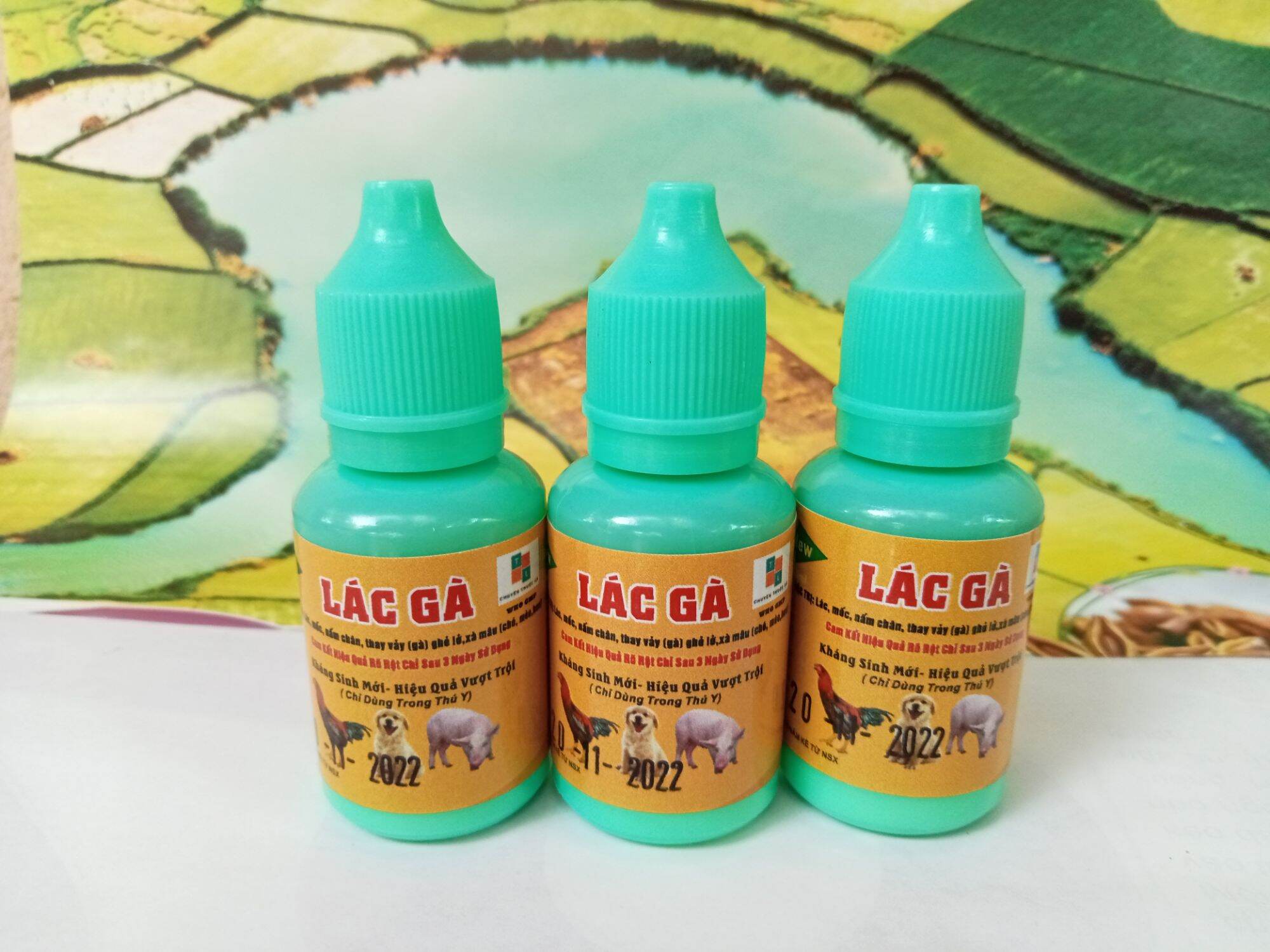 thuốc bôi đặc trị mốc lác gà chọi