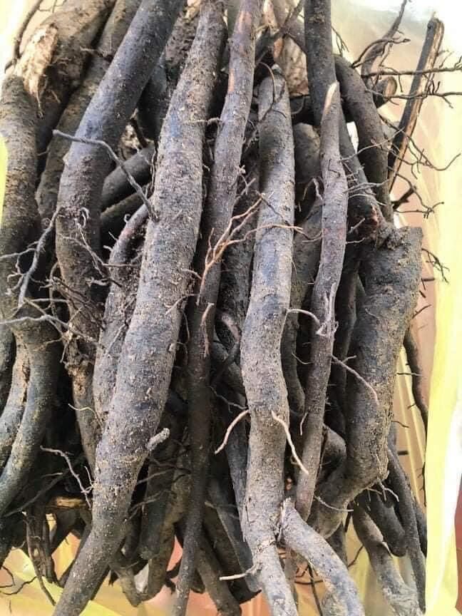 Sâm béo đen 250k/2kg