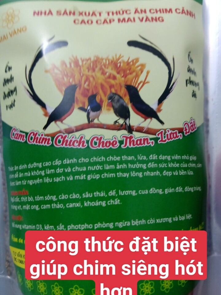 Cám chim chích chòe than, lửa, đất đặt biệt