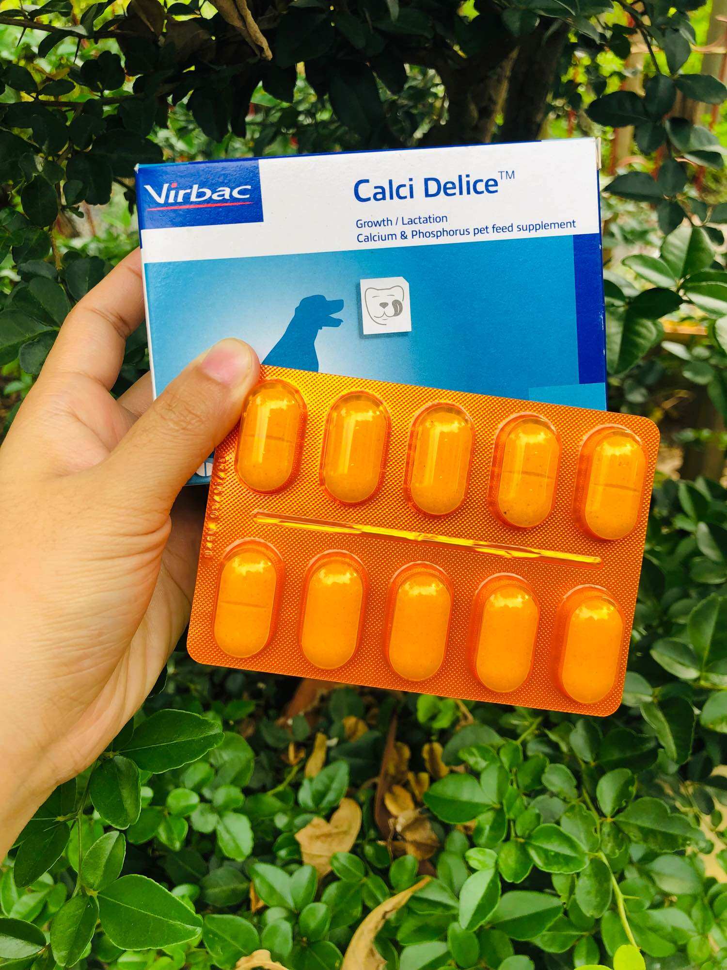 [1 vĩ X 10viên] Bổ sung canxi cho chó mèo (Canxi Delice Virbac)