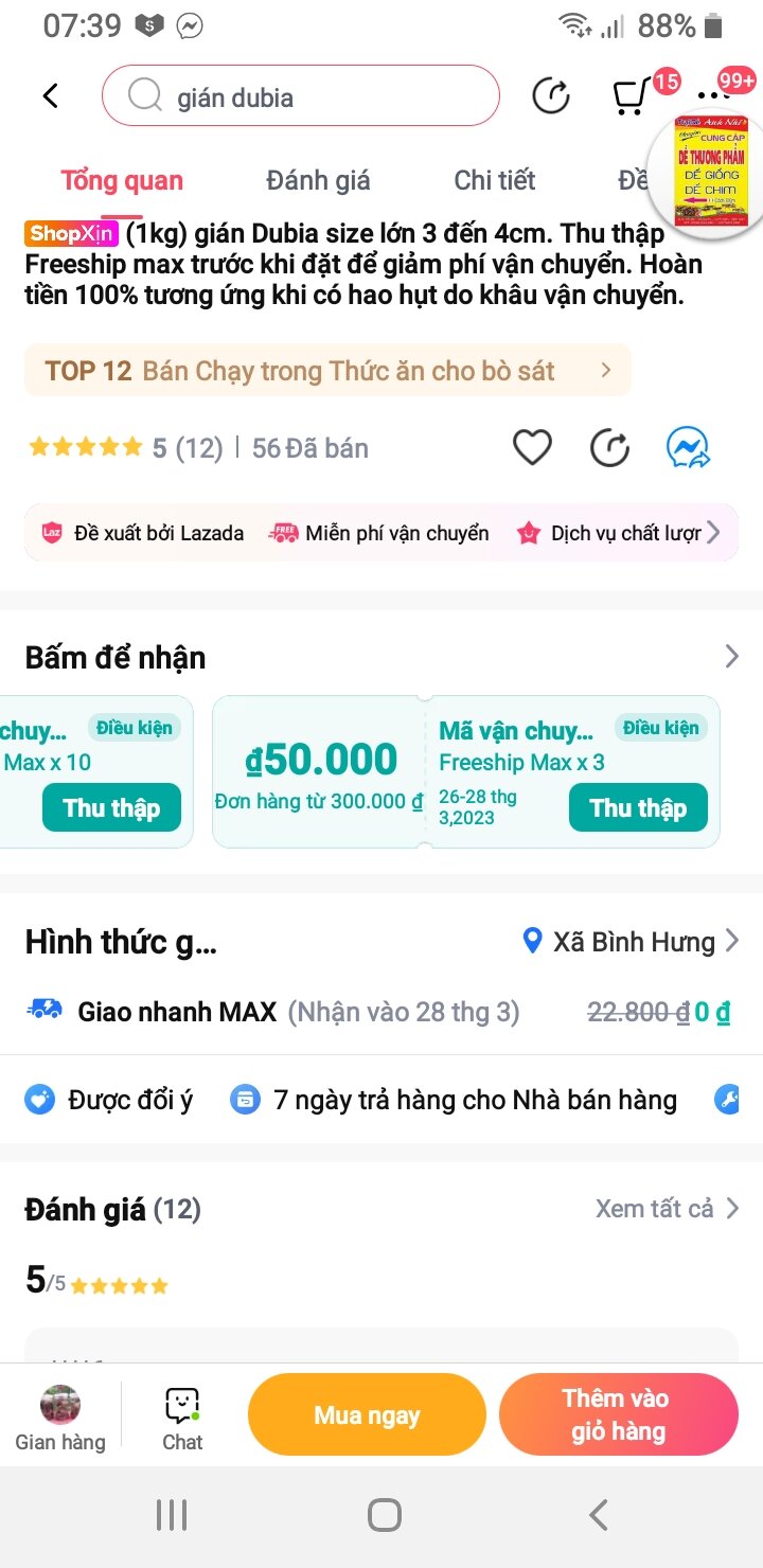 50 cặp gián Dubia size sinh sản. Quý khách nhớ thu thập Freeship Max để được giảm ship.