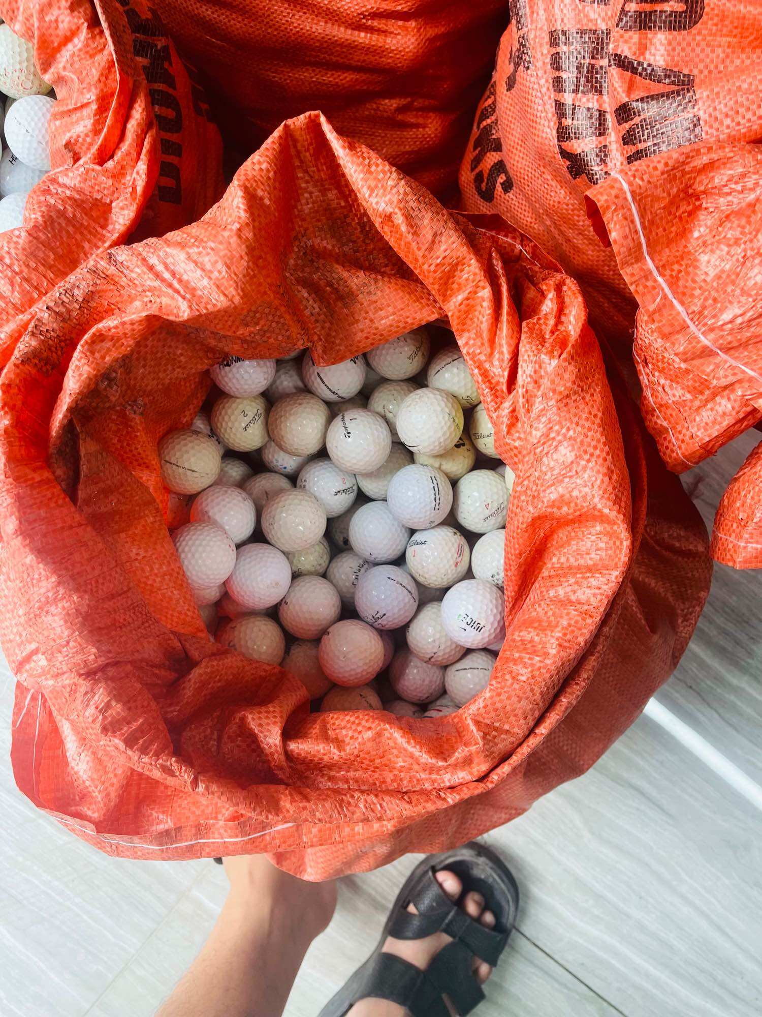 Bóng golf cũ combo 10 quả