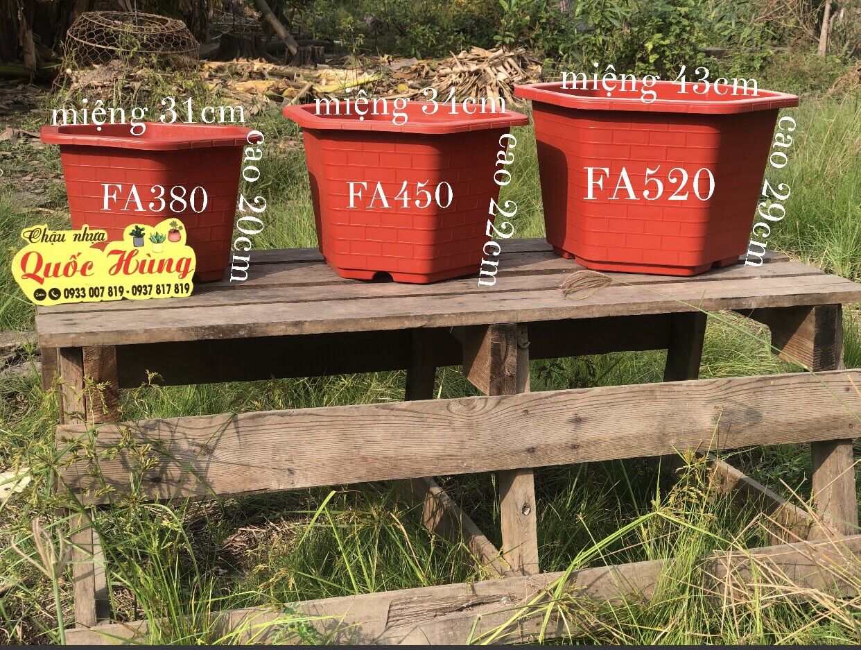 Combo 5 chậu FA450 Đỏ