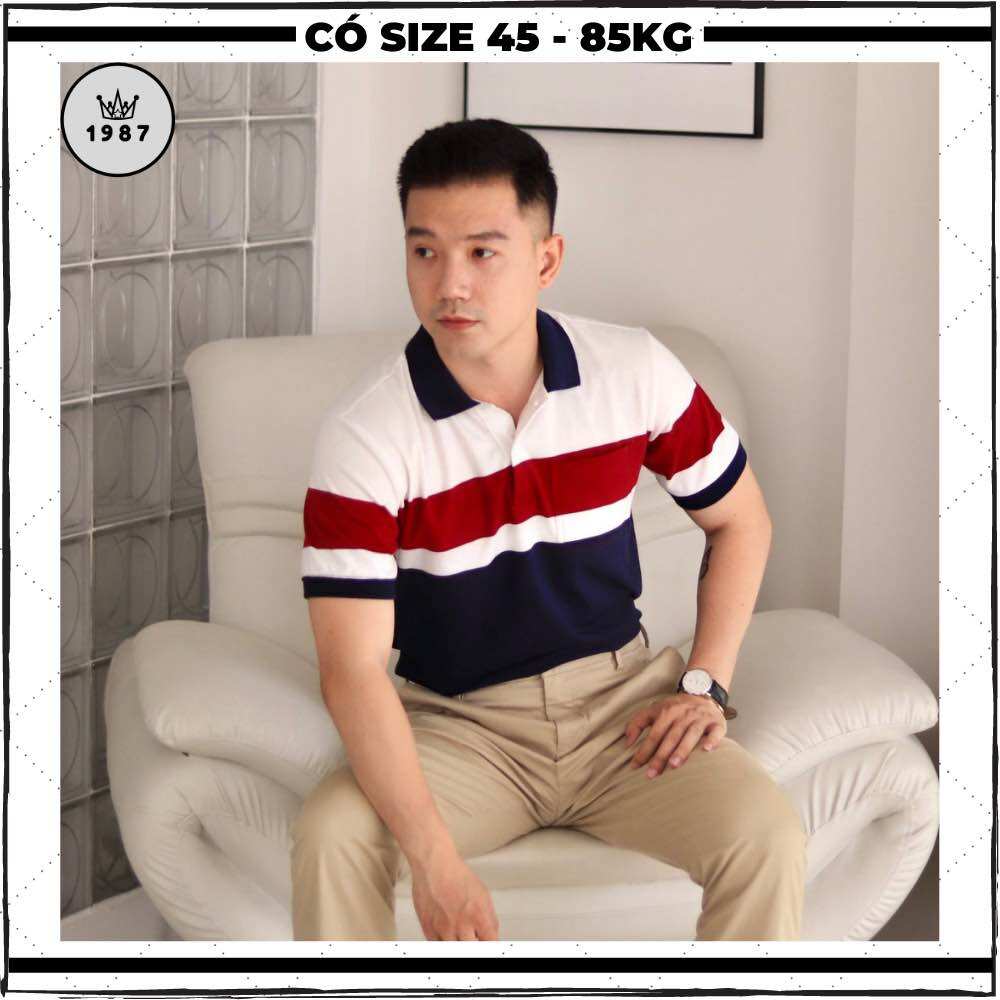 Áo polo nam trung niên, áo thun nam trung niên có cổ cotton thun lạnh, áo cho bố