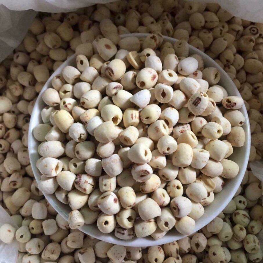 [HCM] 100 Gr Hạt Sen Khô Huế Loại 1