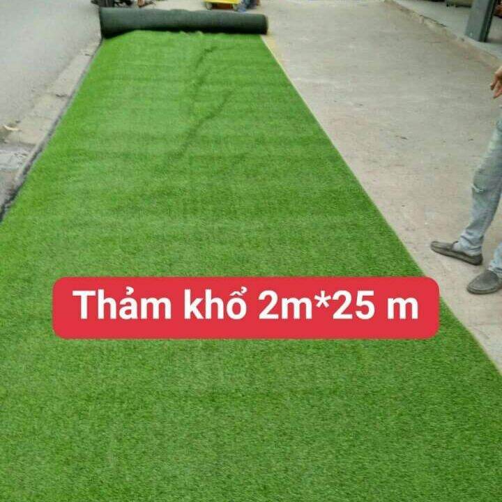 50 m vuông thảm cỏ nhân tạo chất lượng 2 cm