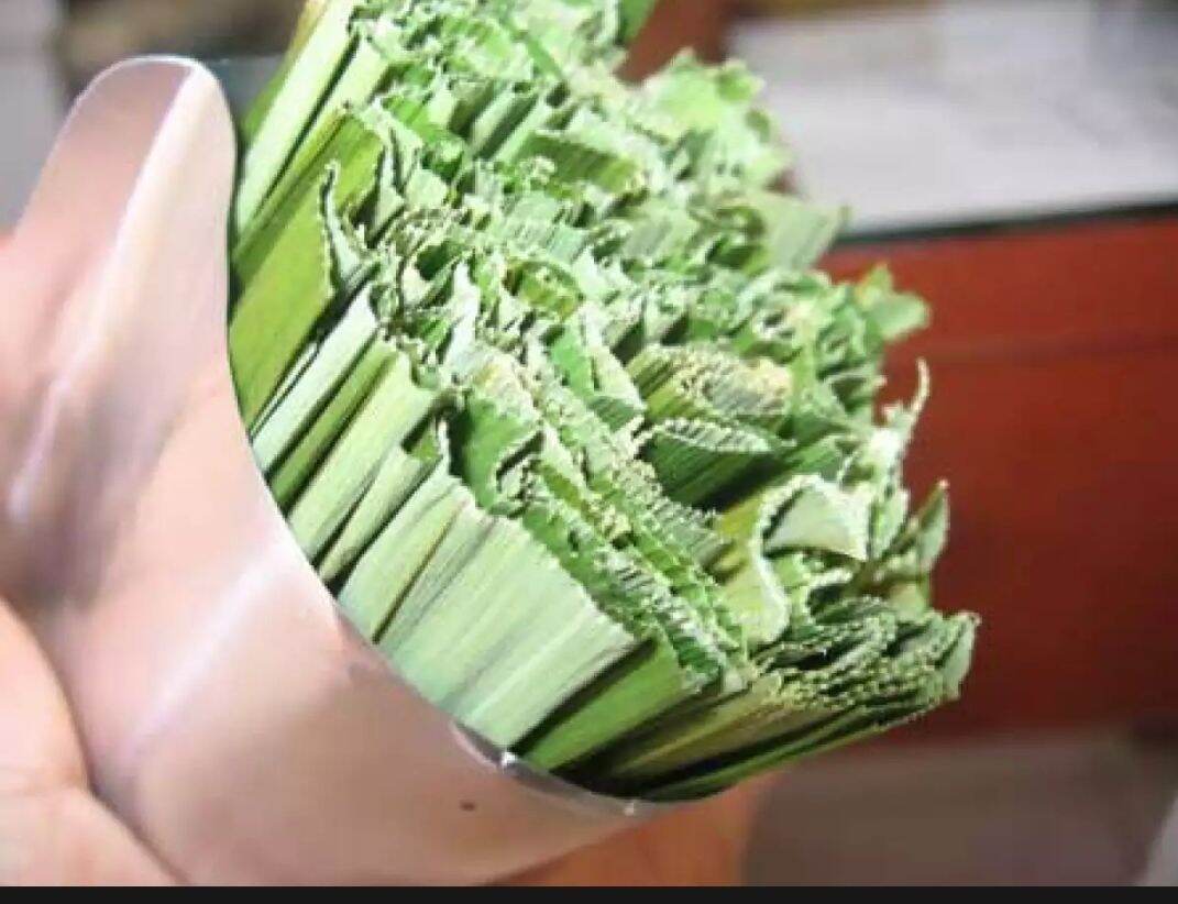 100Gr Lá Dứa (Lá Nếp ) Sấy Khô - Sạch - Thơm- Đẹp