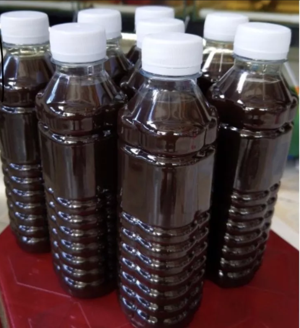 500ml nước cốt đậm đặc nguyên chất lá bàng giúp cá khoẻ mạnh