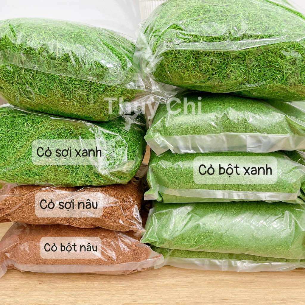 1KG Cỏ sợi, rêu bột, cỏ bột trang trí tiểu cảnh, phủ mặt chậu hoa, làm mô hình - Thuỳ Chi Decor