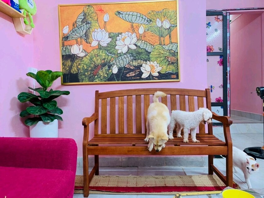Ghế băng gỗ 1m2